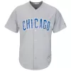 Men Chicago Cubs Away Gray MLB Jersey - uafactory