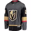 Men Vegas Golden Knights Fleury #29 NHL Jersey - uafactory