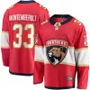 Men Florida Panthers Montembeault #33 NHL Jersey - uafactory