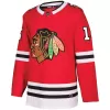 Men Chicago Blackhawks Anisimov #15 NHL Jersey - uafactory