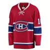 Men Montreal Canadiens Lafleur #10 NHL Jersey - uafactory