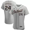 Men Detroit Tigers Gray MLB Jersey - uafactory