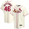 Men St. Louis Cardinals Alternate MLB Jersey - uafactory