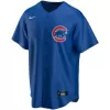 Men Chicago Cubs Royal Alternate Custom MLB Jersey - uafactory