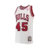 Men's Chicago Bulls Jordan #45 White Retro Jersey 1994/95 - uafactory