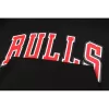 Men's Chicago Bulls Hoodie Black - uafactory