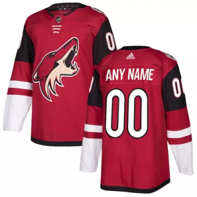 Men Arizona Coyotes Custom NHL Jersey - uafactory