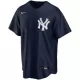 Men New York Yankees Navy Alternate MLB Jersey - uafactory