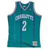 Men's Charlotte Hornets Larry Johnson #2 Retro Jersey 1992/93 - uafactory