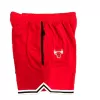 Men's Chicago Bulls Red Basketball Shorts - uafactory