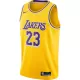 Los Angeles Lakers LeBron James #23 2022/23 Swingman Jersey Gold for men - Association Edition - uafactory