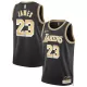 Los Angeles Lakers James #23 2024 Swingman Jersey for men - uafactory